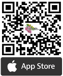 Apple Store QR code download
